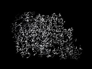 IMG_3080